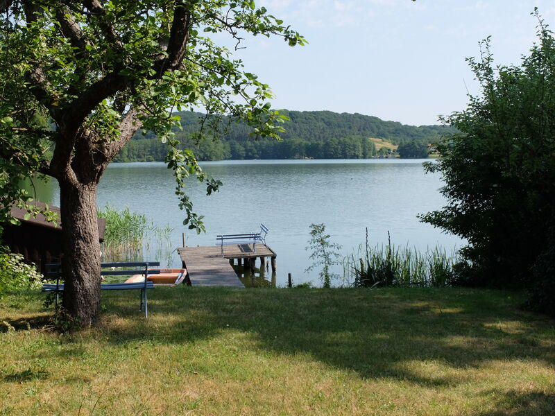 Blick durchs Laub zum Steg